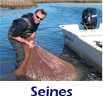 Photos Seines